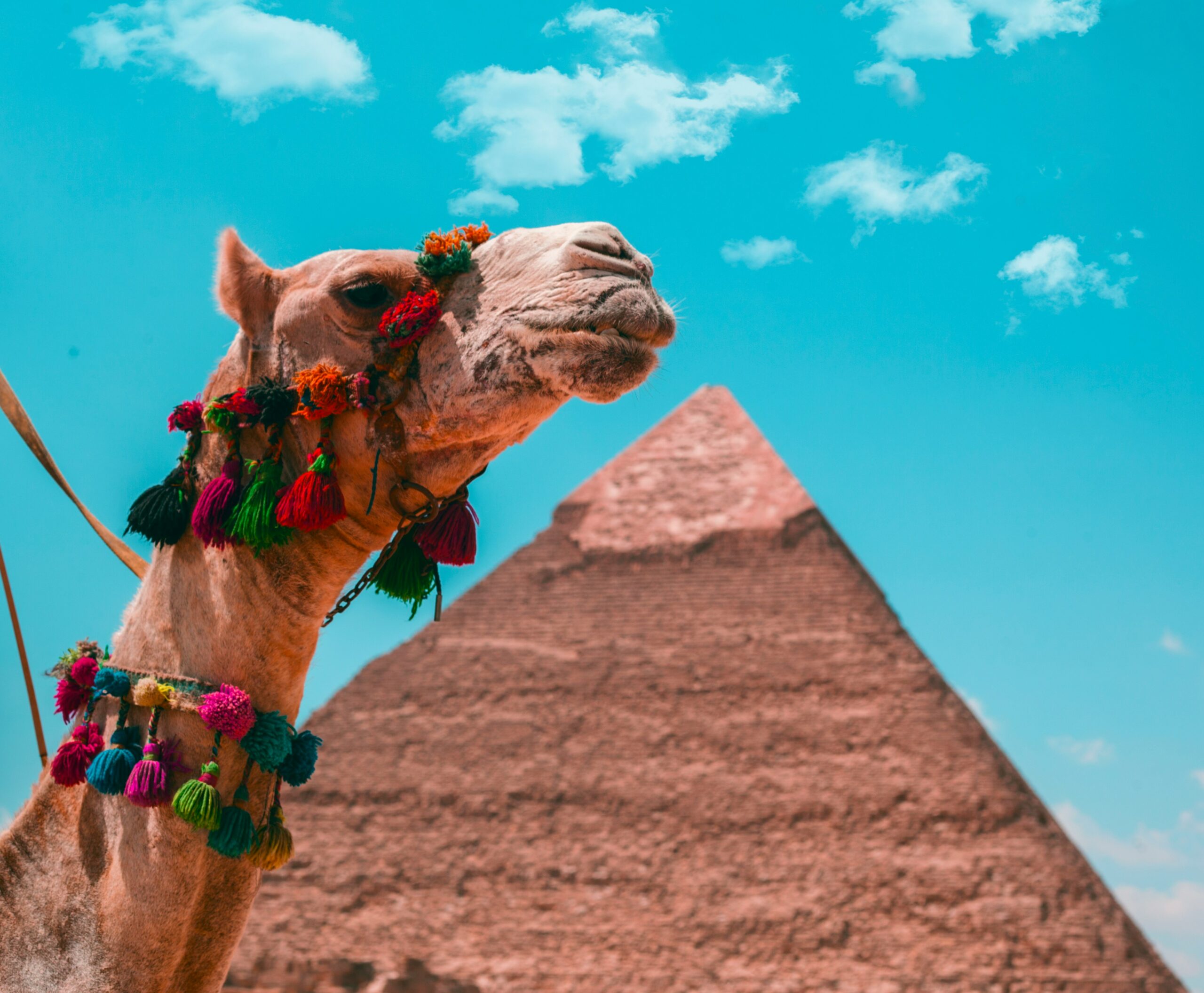 omar-elsharawy--yzs1Mcy6zI-unsplash