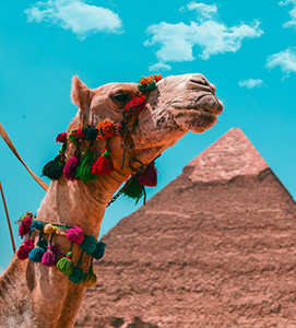 Cairo and the Nile River 